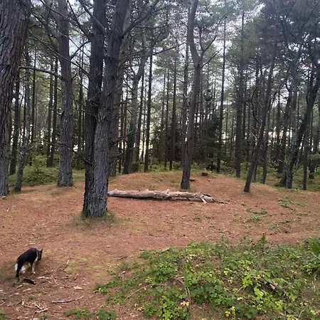 Διαμέρισμα The Getaway Curracloe