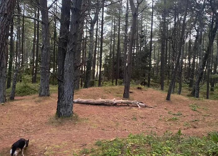 Apartamento The Getaway Curracloe